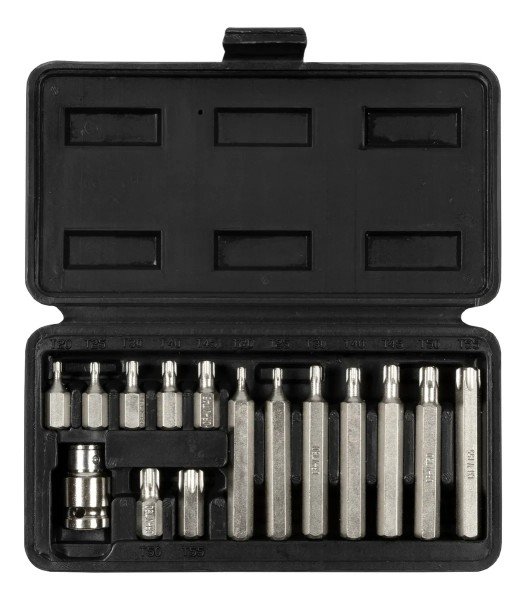 JUEGO 15 PUNTAS TORX  T20 a T55